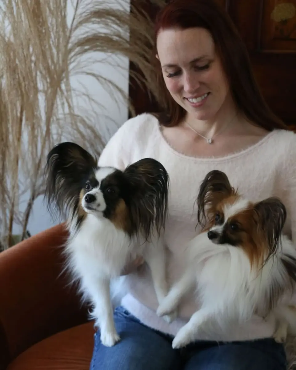 papillonhaven parents gallery  photo 4
